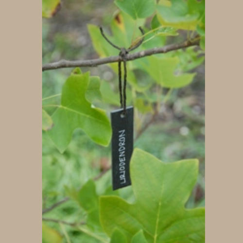 SLATE TAG - HANGING (Pack of 2)