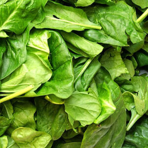 GOURMET MIX (Spinach)