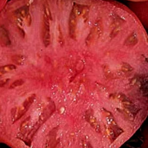 BEEFSTEAK