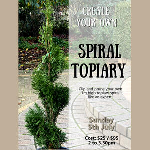 SPIRAL TOPIARY - Class & Demonstration Only