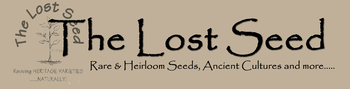 The Lost Seed